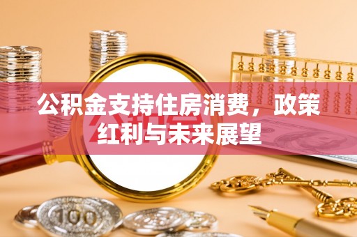 武进公积金支持住房消费，政策红利与未来展望