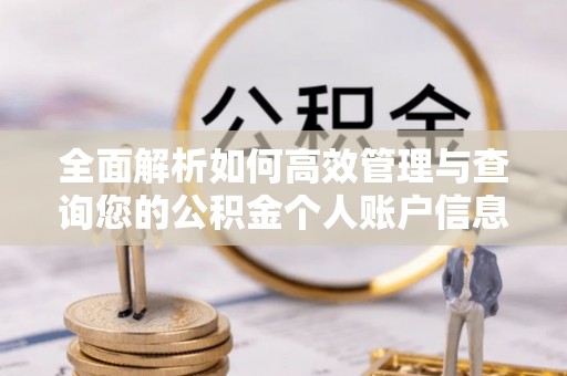 武进全面解析如何高效管理与查询您的公积金个人账户信息