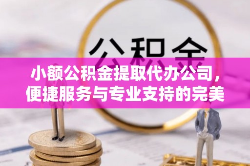 武进小额公积金提取代办公司，便捷服务与专业支持的完美结合