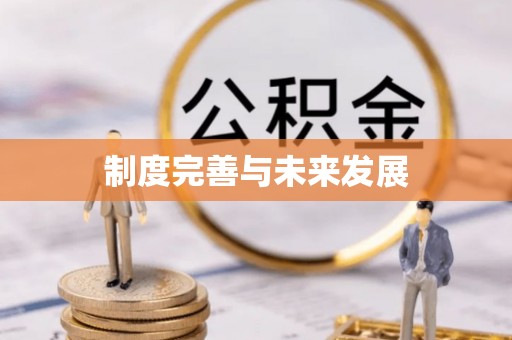 武进制度完善与未来发展