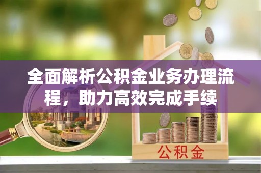 武进全面解析公积金业务办理流程，助力高效完成手续