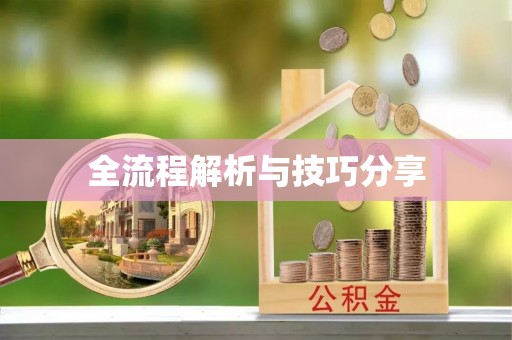 武进全流程解析与技巧分享